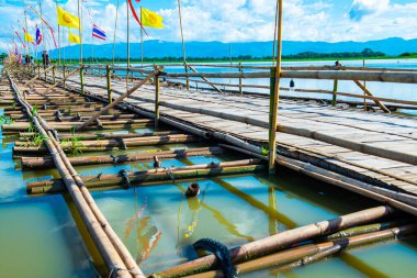 PHAYAO, THAILAND - 2 Haziran 2017: Phayao eyaletinin Kwan Phayao gölündeki bambu köprü.