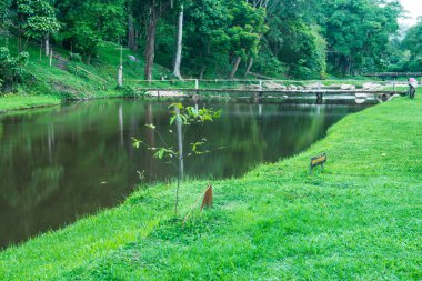 Maetakhrai Ulusal Parkı, Tayland