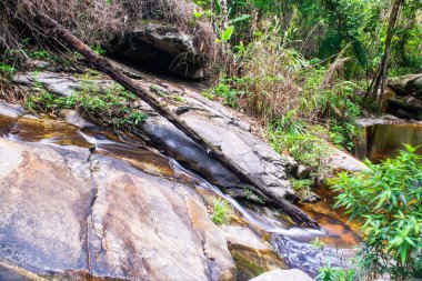Thailand 'daki Doi Suthep Pui Ulusal Parkı' ndaki Şelaleden.