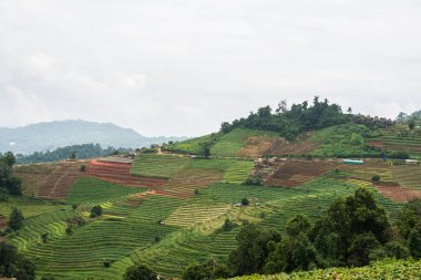 Tayland, Tayland 'da doğal manzara.