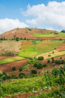 Tayland, Tayland 'da doğal manzara.