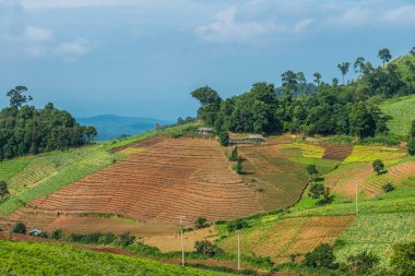Tayland, Tayland 'da doğal manzara.