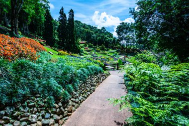 Chiang Rai bölgesindeki Mae Fah Luang Bahçesi, Tayland.