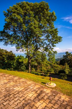 Chiang Rai bölgesindeki Doi Tung Kraliyet Konağı 'nda güzel bir park..
