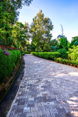 Chiang Rai bölgesindeki Doi Tung Kraliyet Konağı 'nda güzel bir park..