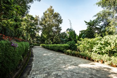 Chiang Rai bölgesindeki Doi Tung Kraliyet Konağı 'nda güzel bir park..