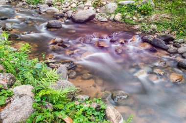 Doğada akan güzel su, Tayland