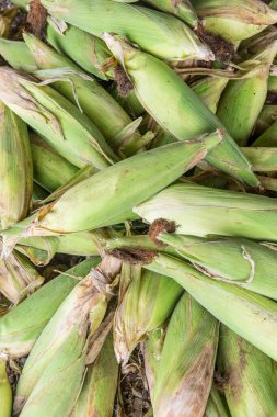 Taze tatlı mısır, Tayland