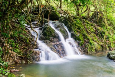Ulusal Park, Tayland 'daki Şelale manzarası