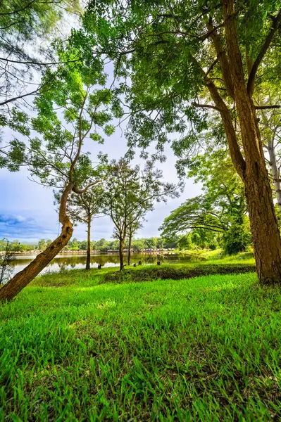 Green grass yard and trees beside Huay Tueng Thao Lake in the morning, Chiang Mai Province.