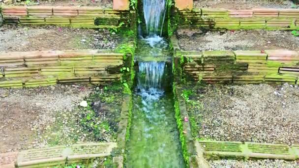 泰国清迈一个阴凉的花园中的水池 — 图库视频影像