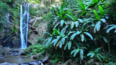Mok Fa Şelalesi Chiang Mai Eyaleti, Tayland.