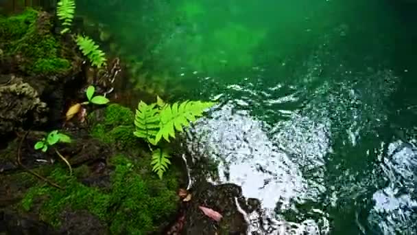 Водопад Мок Провинции Чиангмай Таиланд — стоковое видео