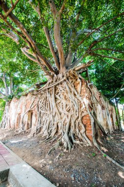 Kratai Tapınak, Tayland antik Tay kilisede seslendirdi.