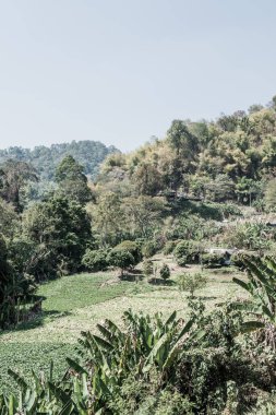 Doi Mon Jam, Tayland Dağ Manzarası.