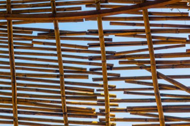 Bambu rendeliyor mavi gökyüzü, Tayland.