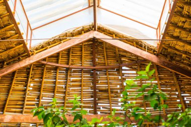 Çatı penceresi ve Yaprak Çatı, Tayland.