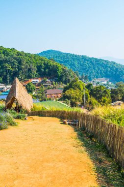 Tayland 'ın Chiangmai bölgesindeki Mon Jam tepesinde toprak yolu olan bambu çitleri..