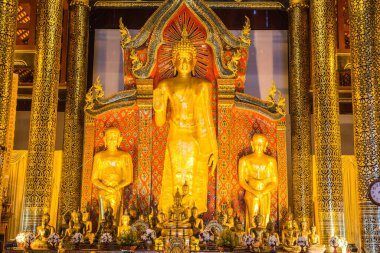 Wat Chedi Luang Tapınağında Buda duruyor, Tayland.