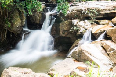 Thai Ormanı, Tayland 'da Su Akıntısı.