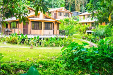 Tayland 'da orman ve yazlık evler.