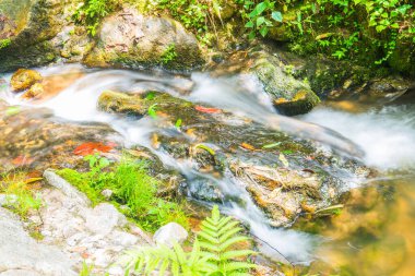 Mae Kampong Şelalesinde Su Akıntısı, Tayland.