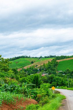 Chiang Mai, Tayland 'ın Mae Chaem ilçesinin yolu ile dağdaki tarım alanı.