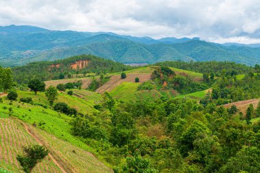 Chiang Mai, Tayland 'da Mae Chaem bölgesinin dağ manzaralı tarım alanı.