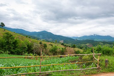 Chiang Mai, Tayland 'da Mae Chaem bölgesinin dağ manzaralı tarım alanı.