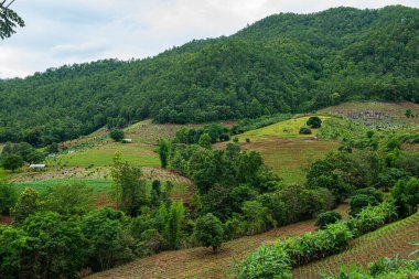 Chiang Mai, Tayland 'da Mae Chaem bölgesinin dağ manzaralı tarım alanı.