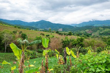 Chiang Mai, Tayland 'da Mae Chaem bölgesinin dağ manzaralı tarım alanı.