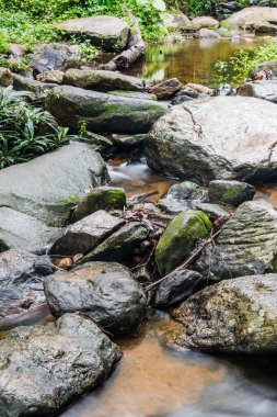 Doğal Park, Tayland 'da Wang Bua Ban şelalesinde su akışı.