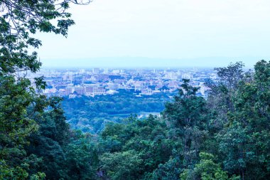 Ağaç önplanlı Chiangmai şehri manzarası, Tayland.