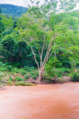 Ob Luang Ulusal Parkı, Tayland 'da sel baskını.