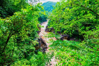 Ob Luang Ulusal Parkı, Tayland 'da sel baskını.