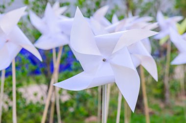 Parktaki Plastik Beyaz Yaban Değirmeni, Chiangmai Eyaleti.