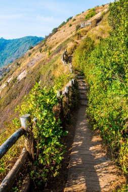 Kew Mae Pan görünümü Doi Inthanon Tabiat Parkı, Tayland