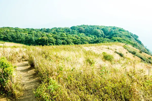 Kew Mae Pan görünümü Doi Inthanon Tabiat Parkı, Tayland