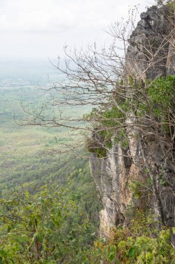 Tayland 'ın Lampang bölgesindeki ağaçlar, mağaralar ve Pan şehri.