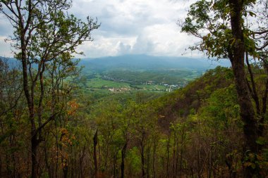 Chalermprakiat Prachomklao Rachanusorn Tapınağı, Tayland.