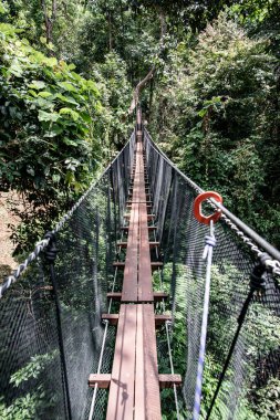 Mae Fah Luang Bahçesinde Ağaç Tepesi Yürüyüşü, Chiang Rai.
