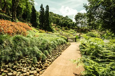 Chiang Rai bölgesindeki Mae Fah Luang Bahçesi, Tayland.