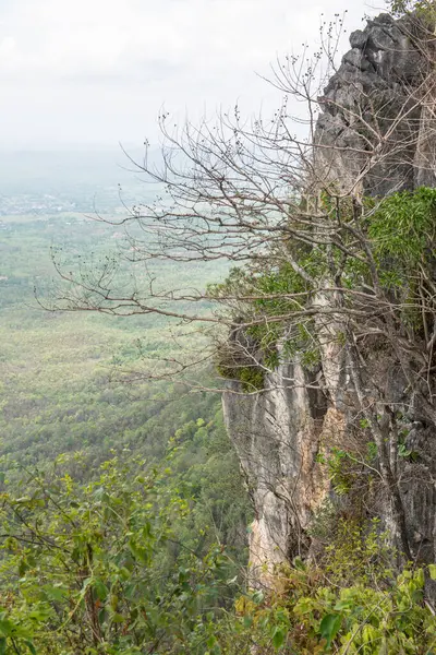 Tayland 'ın Lampang bölgesindeki ağaçlar, mağaralar ve Pan şehri.