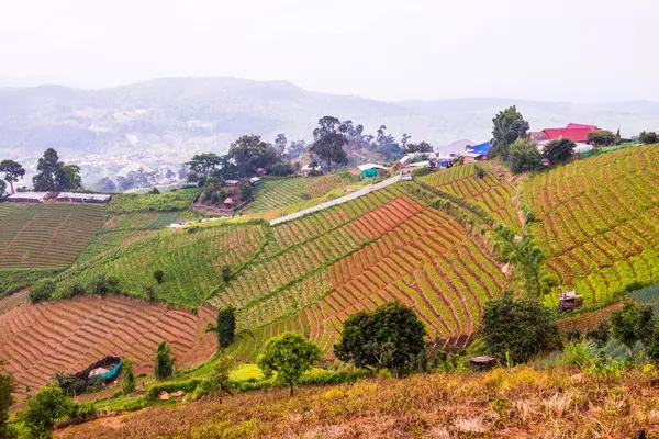 Tayland, Tayland ve Tayland 'da doğal manzara..