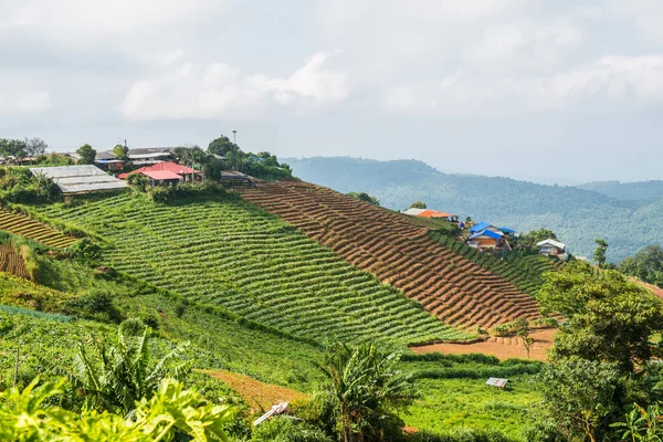 Tayland, Tayland ve Tayland 'da doğal manzara..