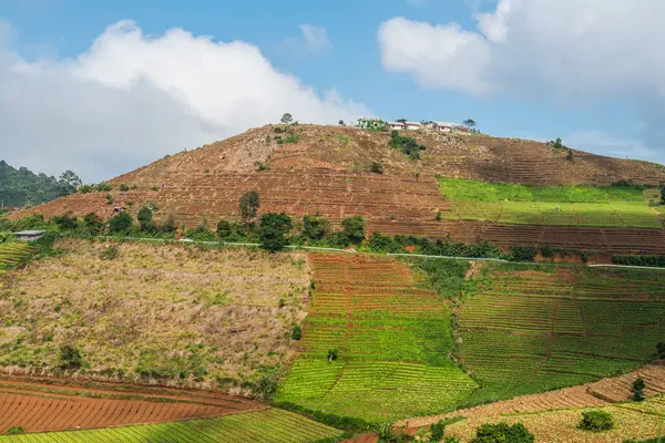 Tayland, Tayland 'da doğal manzara.