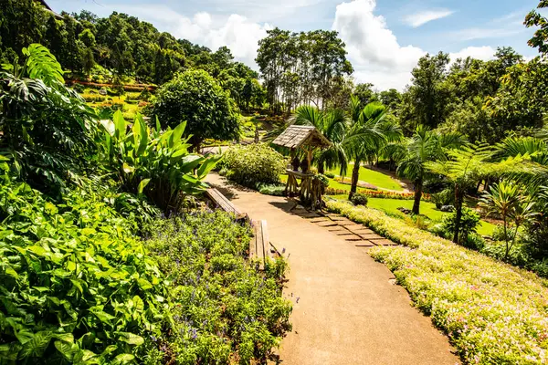 Chiang Rai bölgesindeki Mae Fah Luang Bahçesi, Tayland.