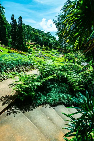 Chiang Rai bölgesindeki Mae Fah Luang Bahçesi, Tayland.