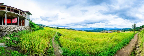 Panorama View of Pa Bong Piang Rice Terraces at Chiang Mai Province, Thailand.