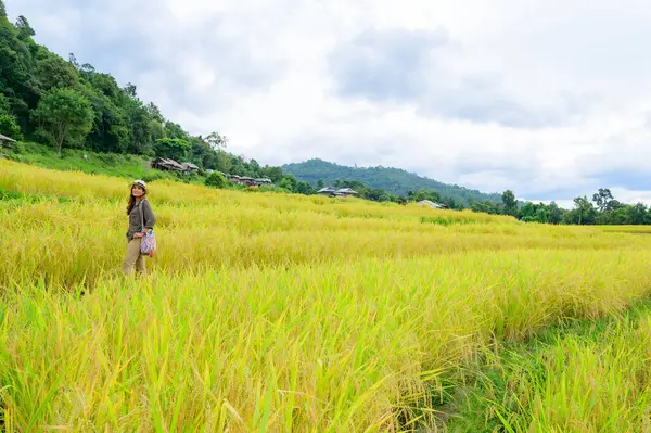 Asian Woman with Pa Bong Piang Rice Terraces at Chiang Mai Province, Thailand.